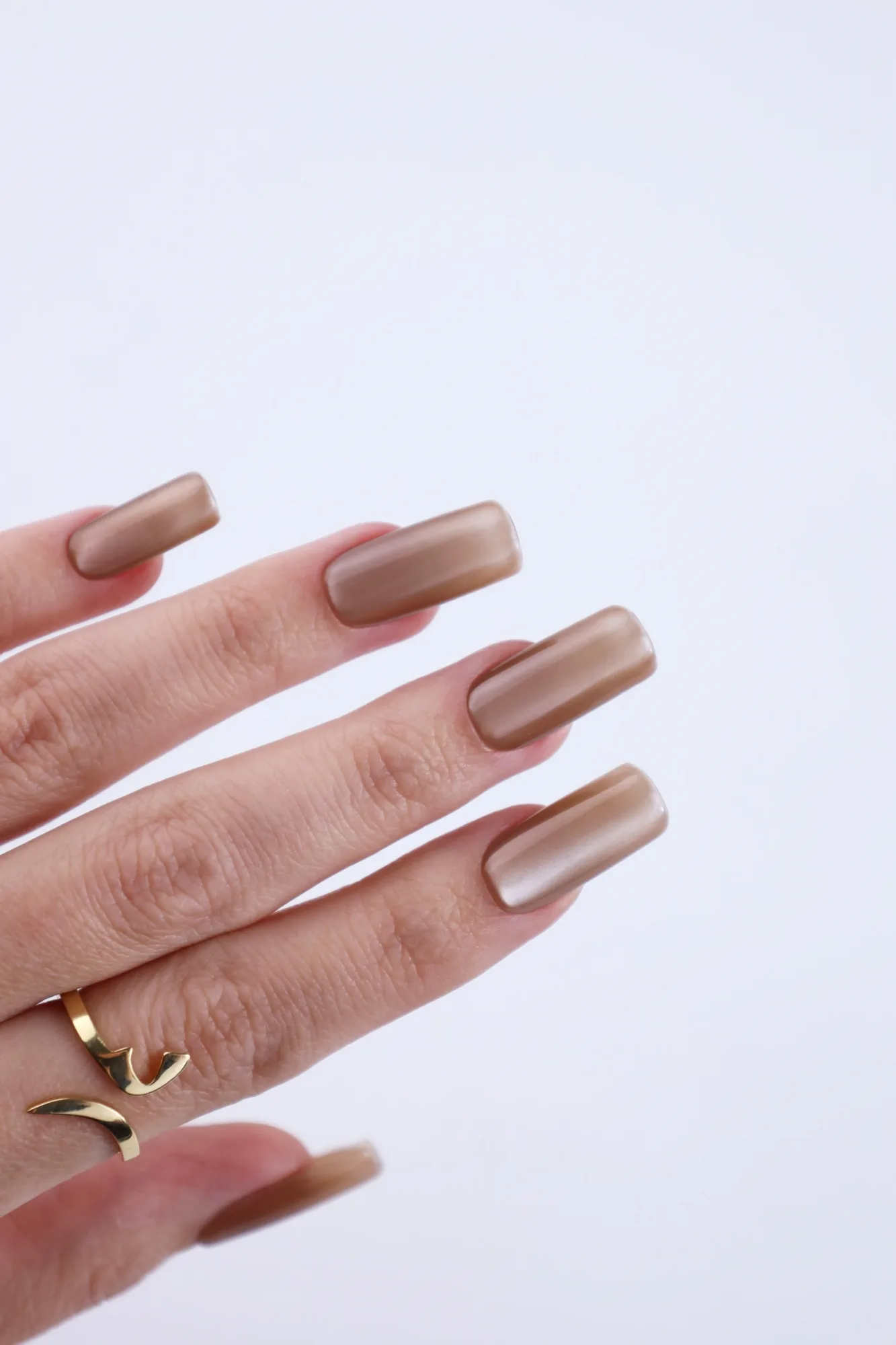 NarJo Golden Silk Cat Eye Gel Polish